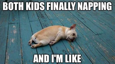 exhaustipated meme|Exhausted Funny GIFs .